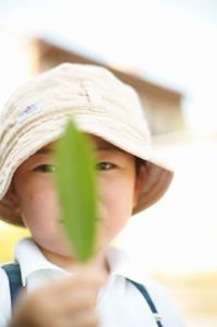 8e84bc1d52bf899b473258b3a1dd472d