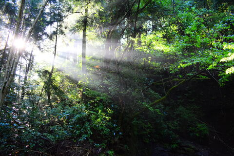 C96c42fd2d11b9838bc3fdeb536f78f0