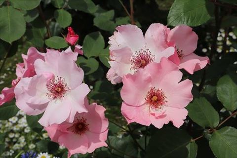 B139196c1b2fd951cd96e4241fb75dbd