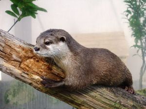 74a18e4001bf82e235383ed254ebcf98