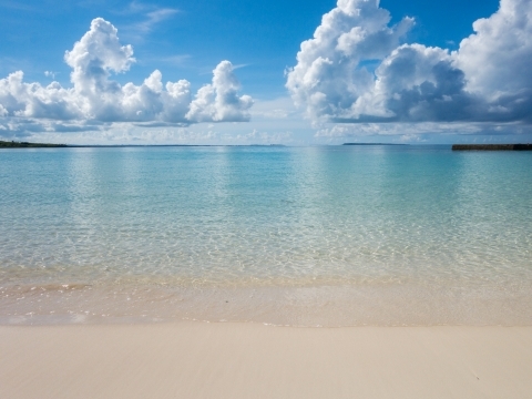 12e87e9bd0e43ddd6884902ab04e6d30