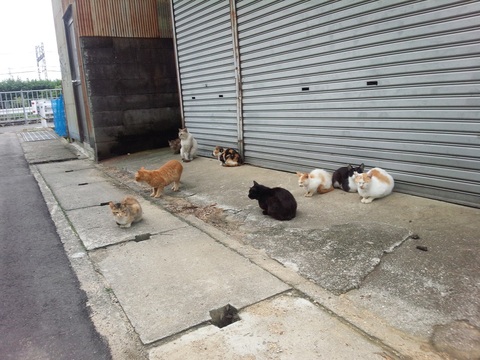 9ca730caba9c89aa0c47c14de464031f