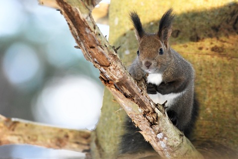 D74985dbd17d7d1ca787ab3fde7744eb