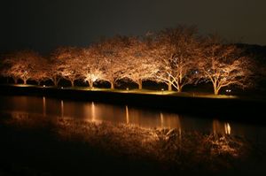 3026580cb04067f3d338d1776d92a7d2