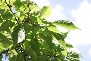 94291b428aa1358e9222427d76224334