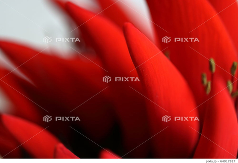 D13b5e2f37c5b5bcad62171121089bc4
