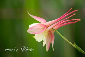 30e23ff841c2f175dd688d109aa31dc5