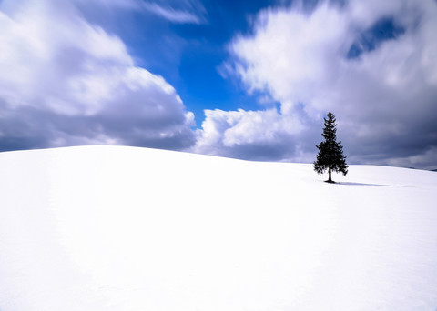 069d0d13e7ac7ba1924b3cac160f3065