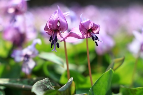 B7fa01034b910c1b195bc746394597a2