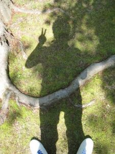 C85f8723670b1d4686ea847b826f168e