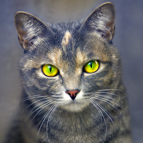 Fbf3be47894552a7d1e6e3626bcb543f