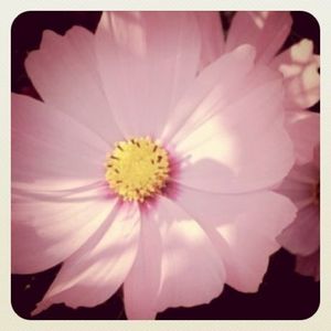 29e2710a04a5c4e7f60255d9f6906323