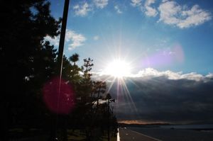 D63fe1e412750a3330d02ebe9db9564a