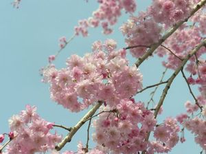 84144f0169f54bf0110b3ce723ded09e