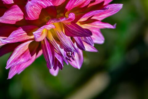 05f0042d5318340edcb9e11bfc56282e