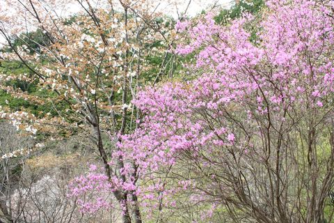 641bda14921afb00584c5f7dd18ec675