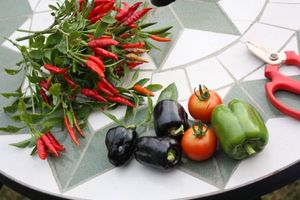 D7fb7e57224eaa5104ead7afa78f8e1f