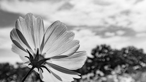 1a78624d46f7f6831db091e5c151cd6f