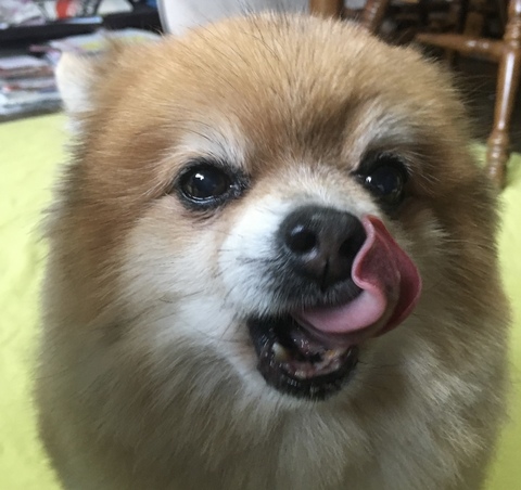 6372b76b1fe1e582348f13f9c6dd9db0