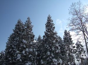 Dc6f0185eee786a6557d2cc2af2157b5