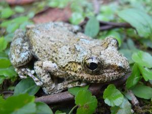 Eb8254c15da5505969e79ea2424cd147