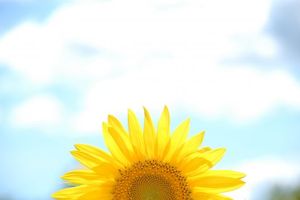 5e4bc918af835d6810cccb706afbe38f