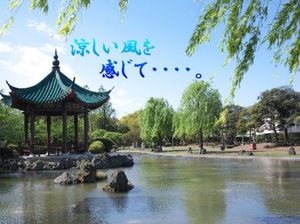 Ad4db4b72611c5193b6aaad1d59a534a