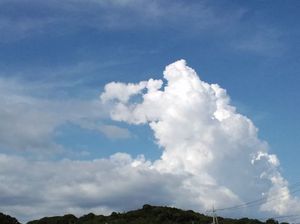 0d076568a893f222221c41d1fd99d560