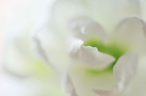 C19a8ba3532e0410309a8b5a3c8426a3