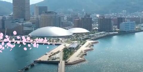 485daa83784fb78d3e3e6c99536659ed