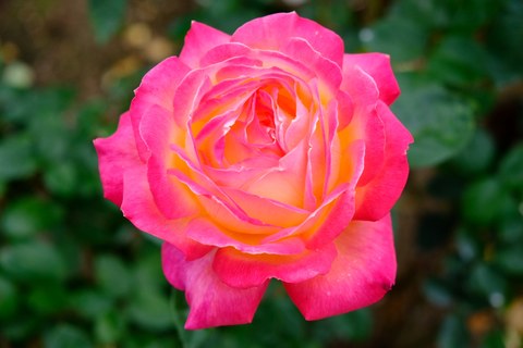 A7eef4b83c2ecbae96bd3797cd2a21cc