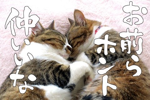 8d1997562b4c77f664f34b41a3614b6b