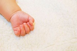 3669e537a43e2e5c4e212a411bfce739