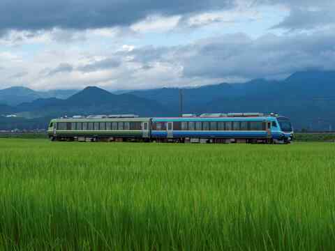 47f68fcf061dbacc05cacf4eef75f288