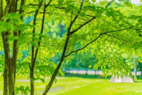 63594df2b5c878a94ef7b014c43eee58