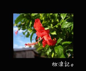 9a2c570a2fde817ab66c388e4cf730b1