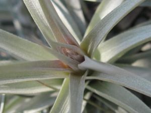 65ec9b693510e071455456efa77a3264