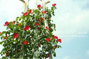 9c582f611768207ff097f92ae634e771