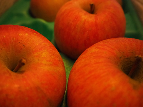 0953f82c82c295aa804446b0af194896