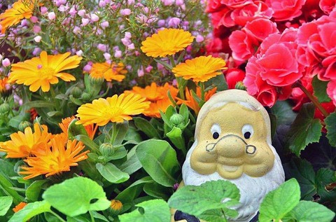 F720202e378485fbd1f2ab725a0543fe