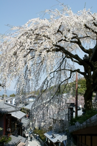 7bc8889e73eae2ddc342e8122c91f7a0