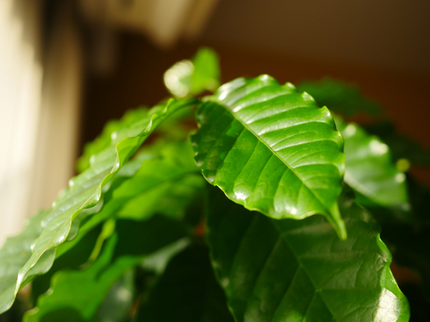 6b09f43f52f4af8fe542c0b0b0d3fada