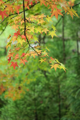 85eb462873138f7aeccd4dc4e925f317