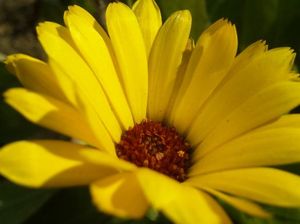 C81568b4e62da23894c562c491aeb43b