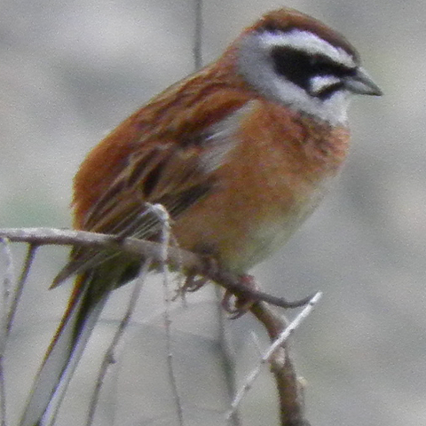 1be5b97a38d30196fd5f9e1835d282fd