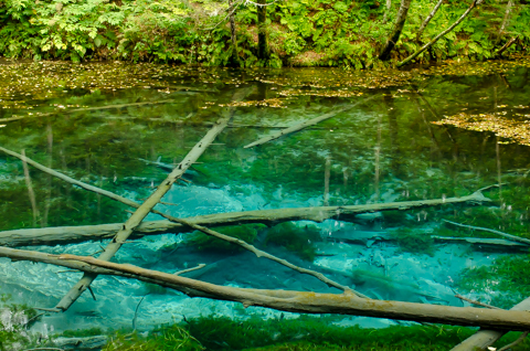 C22735606e9b17d5f1bcee5c30bbd2b4