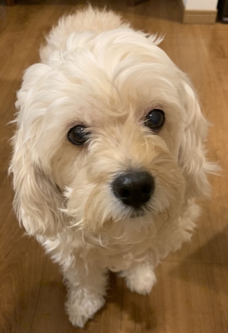 Cb6433a97f198e6095c78ca601af16dc