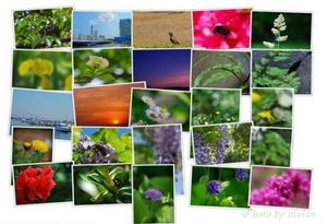 De99fe4393d817208309b54d219b9b64