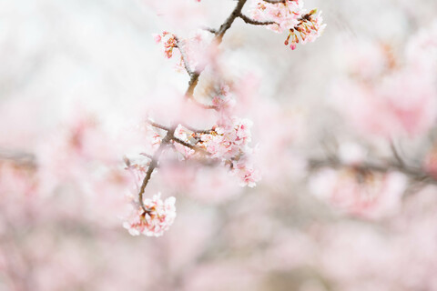 D5e2d13c7befecb4daed586604a0c1a8