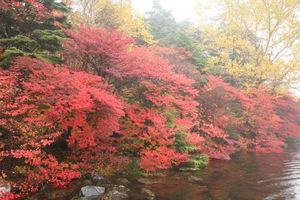 4d2bc2c41440c2499e20d45a2fe1dcb9